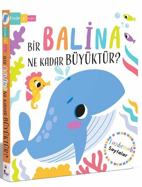 Bir Balina Ne Kadar Büyüktür?