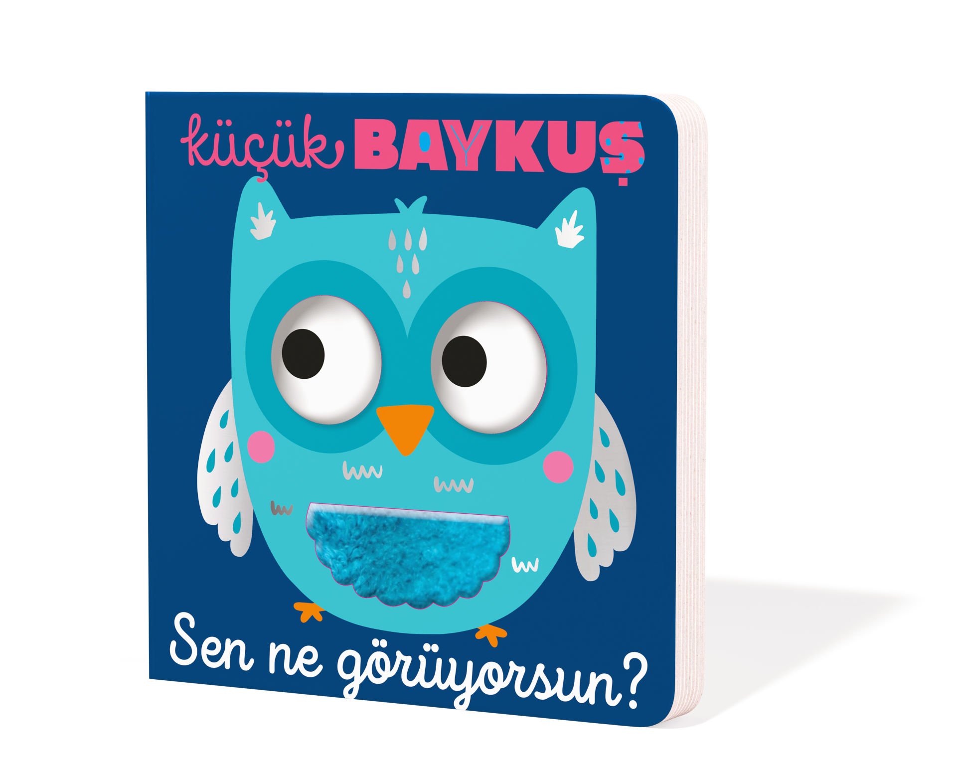 Küçük Baykuş Sen Ne Görüyorsun?