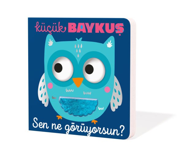 Küçük Baykuş Sen Ne Görüyorsun?