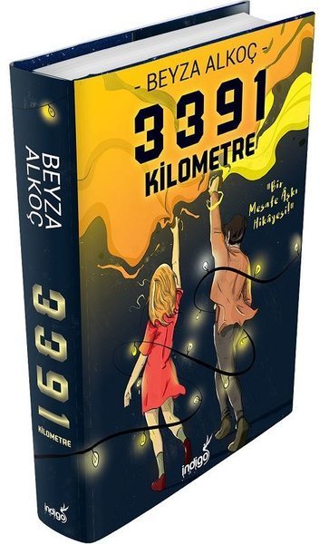 3391 Kilometre-Ciltli