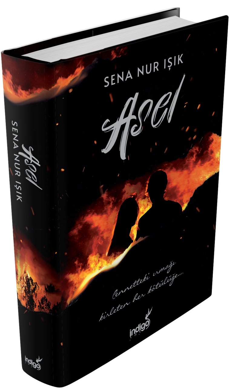 Asel - Ciltli