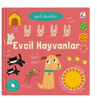 Sesli Dostlar – Evcil Hayvanlar (Sesli Kitap)