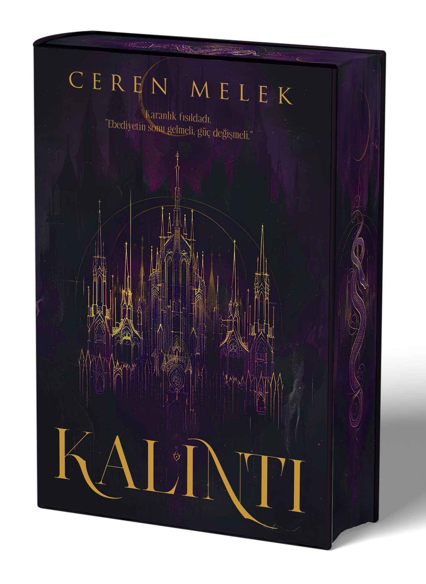 Kalıntı - Ciltli