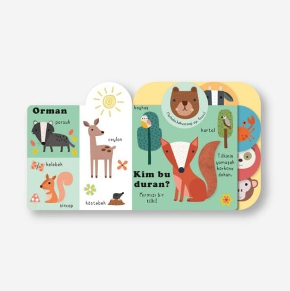 Dokun- Hisset / Hayvanlar