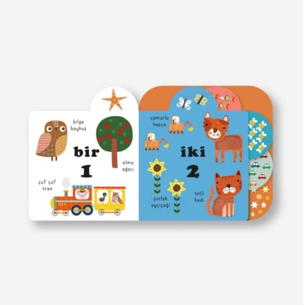 Dokun- Hisset / Sayılar