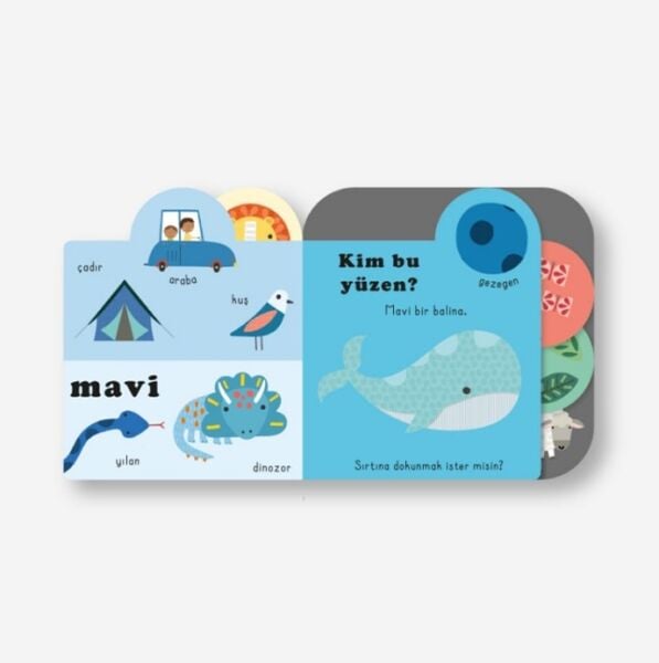 Dokun- Hisset / Renkler