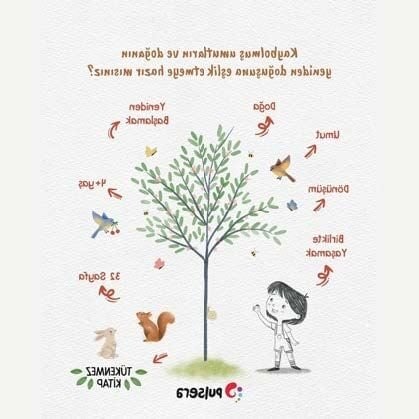 Cepte Kalan Son Tohum