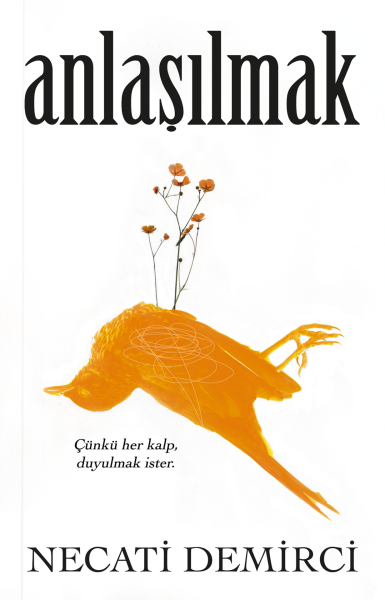 Anlaşılmak - Necati Demirci