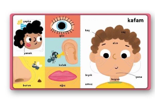 İlk 100 Kelimem – Vücudumuz (Pencereli Dokun-Hisset)