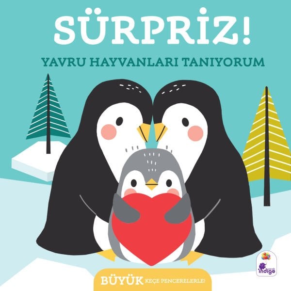 Sürpriz! – Yavru Hayvanları Tanıyorum