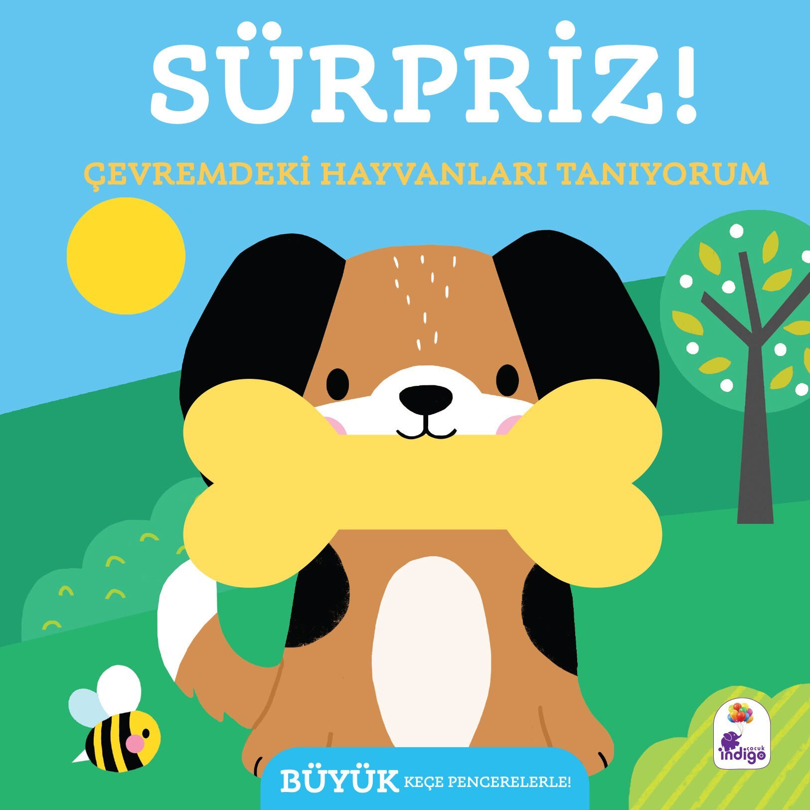 Sürpriz! – Çevremdeki Hayvanları Tanıyorum