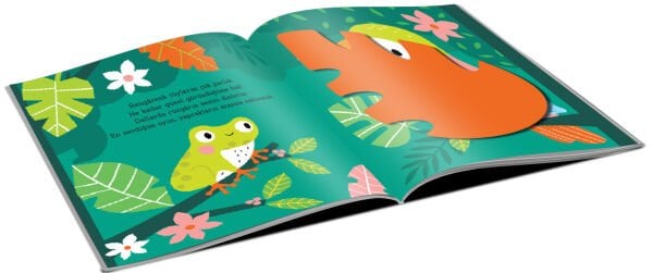 Sürpriz! – Doğadaki  Hayvanları Tanıyorum