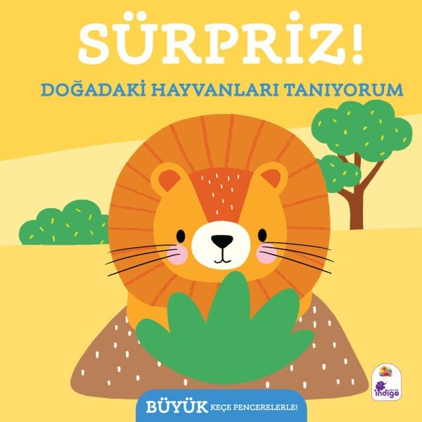Sürpriz! – Doğadaki  Hayvanları Tanıyorum