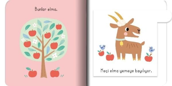 Kalın Kapaklı Kapılı Kitap - Kelimeler