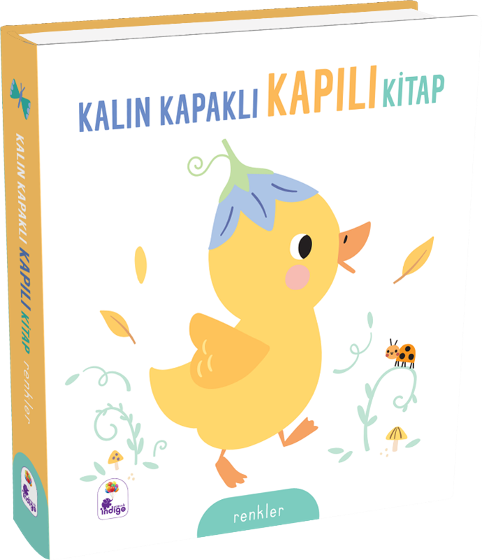 Kalın Kapaklı Kapılı Kitap - Renkler