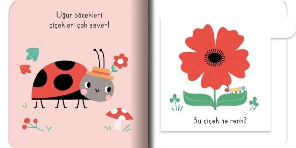 Kalın Kapaklı Kapılı Kitap - Renkler