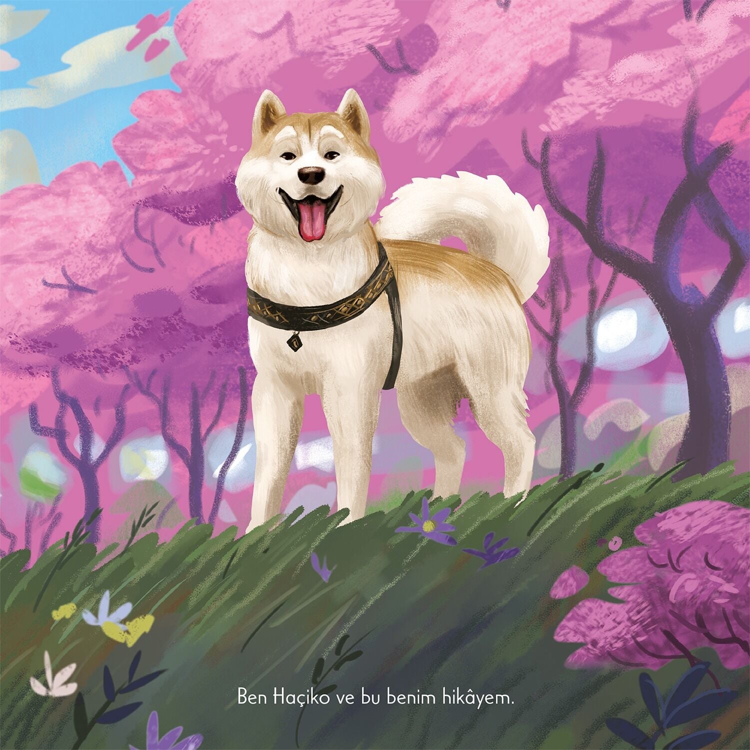 Haçiko – Sadık Bir Dost