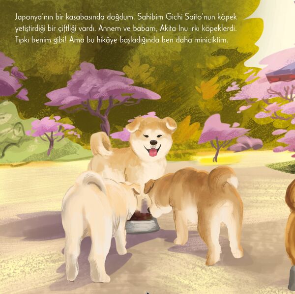 Haçiko – Sadık Bir Dost