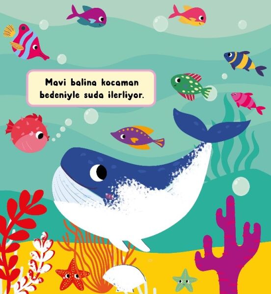 Sihirli Sulu Boyama – Su Altında Yaşam