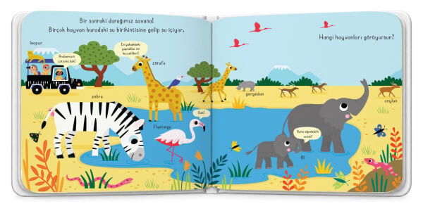 Çek, Çekiştir ve Bul – Doğayı Keşfedelim (Hareketli Kitap)